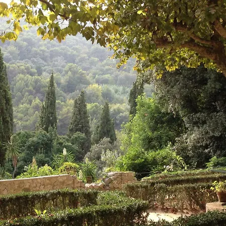 Palais Albion *